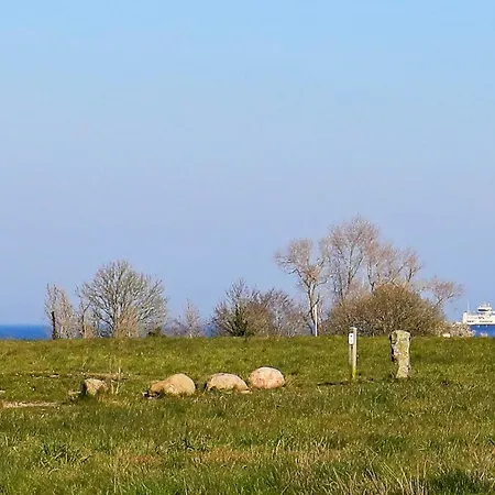 10 Person In Rudkobing-by Traum Spodsbjerg